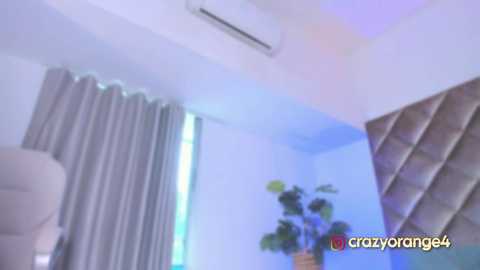 crazyorange4