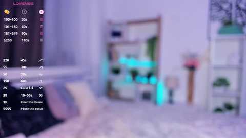 bunny_nova