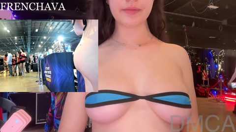 frenchava