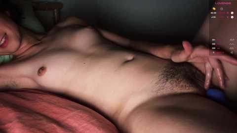 _anise_