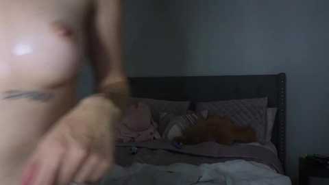 bambifarrina