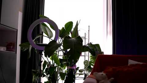 Media: emilyraymont Chaturbate 2025-10-19 06:49:00