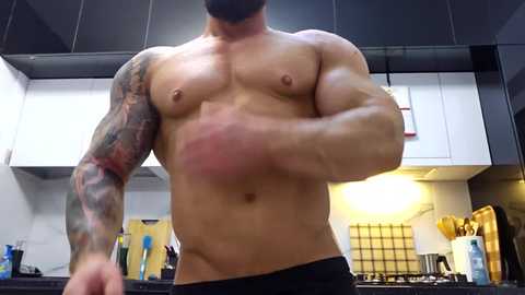 adonis_msc @ chaturbate on 20251020