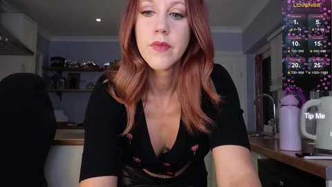 stripmequick