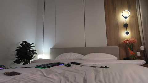 veronica_sland