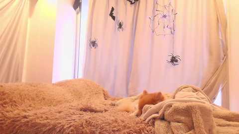 Media: kendalltyler Chaturbate 2025-10-22 20:37:00