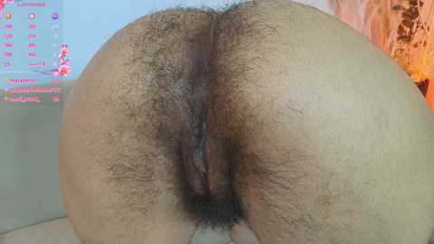sunflower_aillyn