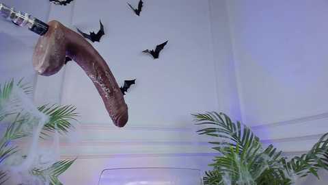 Media: lil_shouty_bitch Chaturbate 2025-10-24 16:01:00