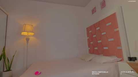 nicolle_mitchelle