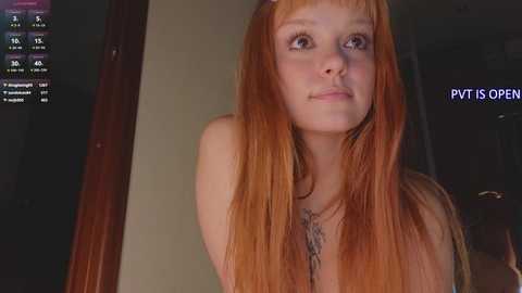 artemisa_meows