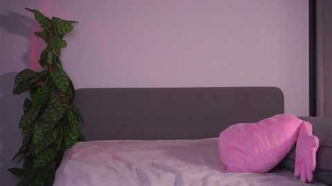 Media: cinacandy Chaturbate 2025-10-28 10:19:00