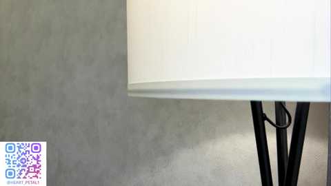 Media: heart_petal Chaturbate 2025-11-05 10:36:00