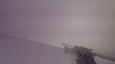 Media: h0ney__bunny Chaturbate 2025-11-08 01:18:00