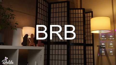 Media: delitevip Chaturbate 2025-11-10 13:49:00