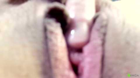 Media: courtney_luv Chaturbate 2025-11-11 05:47:00