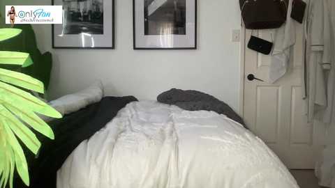 Media: keeliebaby Chaturbate 2025-11-11 07:42:00