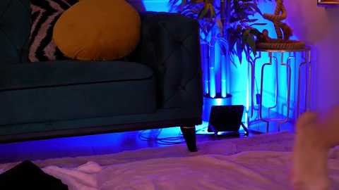 Media: alenacapricious Chaturbate 2025-11-15 02:58:00