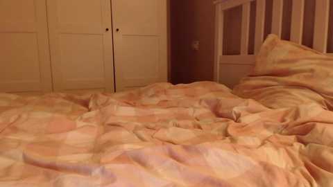 Media: nightssecret Chaturbate 2025-11-15 01:21:00