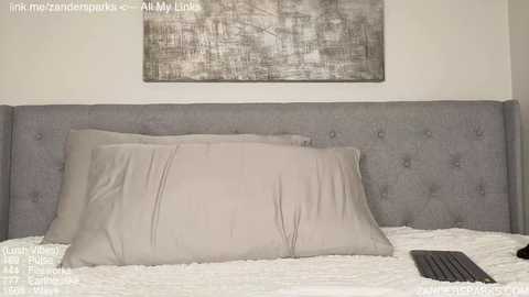 Media: zandersparks Chaturbate 2025-11-15 03:33:00