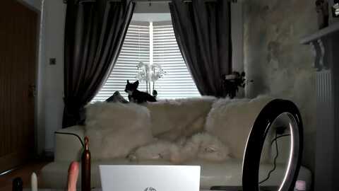 Media: klo35 Myfreecams Invalid Date