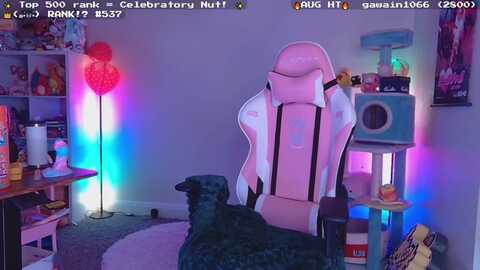Media: nekobeanxo Myfreecams Invalid Date