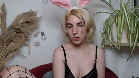 Media: cherrybi Myfreecams Invalid Date
