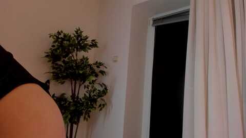 Media: iris_lis Myfreecams Invalid Date