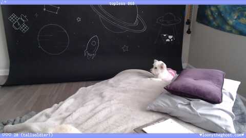Media: lunademiel Myfreecams Invalid Date
