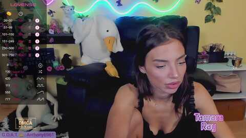 Media: tamararay Myfreecams Invalid Date