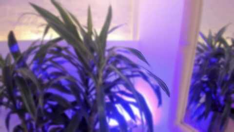 Media: toriemiller Myfreecams Invalid Date