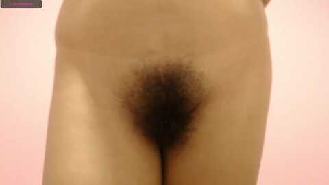 Media: sweet_barbiie Myfreecams Invalid Date