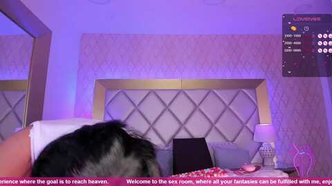 Media: hollytegan Myfreecams Invalid Date