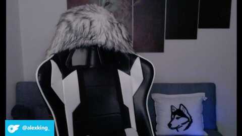 Media: lycangirl Myfreecams Invalid Date