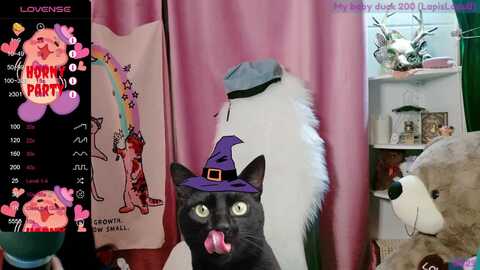 Media: meows Myfreecams Invalid Date