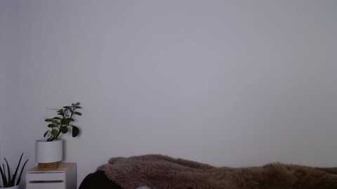 Media: sweet__daisy Myfreecams Invalid Date