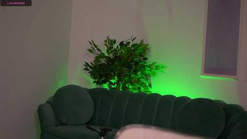 Media: blackcloverx Myfreecams Invalid Date