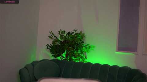 Media: blackcloverx Myfreecams Invalid Date