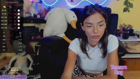 Media: tamararay Myfreecams Invalid Date