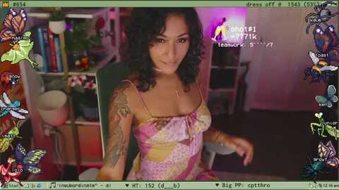 Media: terra Myfreecams Invalid Date