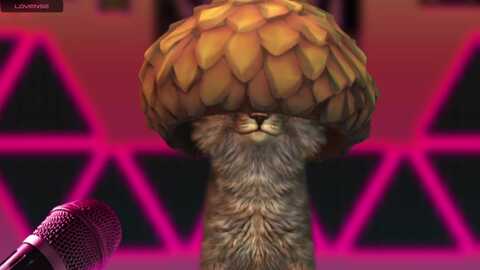 Media: meows Myfreecams Invalid Date