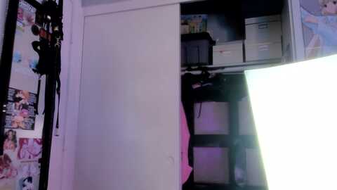 spooky_bish @ myfreecams on 20231003