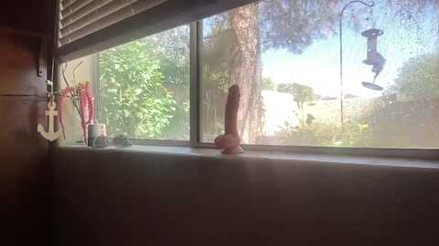 brees_room @ myfreecams on 20231004