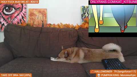 Media: kat_kitsune Myfreecams Invalid Date