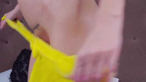 Media: rockndiamond Myfreecams Invalid Date