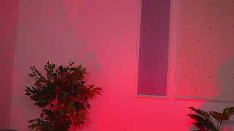 Media: blackcloverx Myfreecams Invalid Date