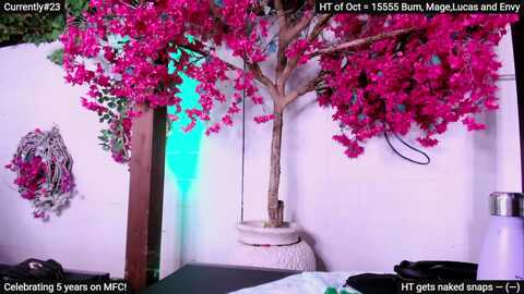 Media: mollymayhem Myfreecams Invalid Date