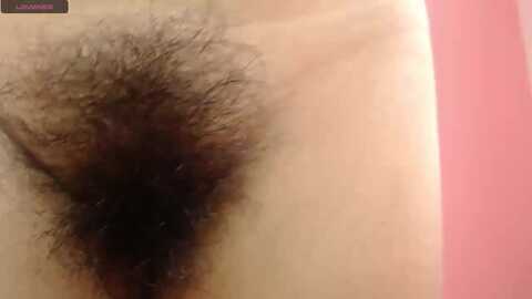 sweet_barbiie @ myfreecams on 20231015