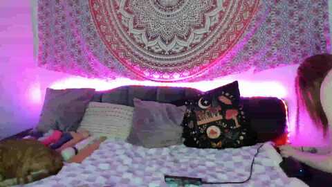 dankkittyx @ myfreecams on 20231018