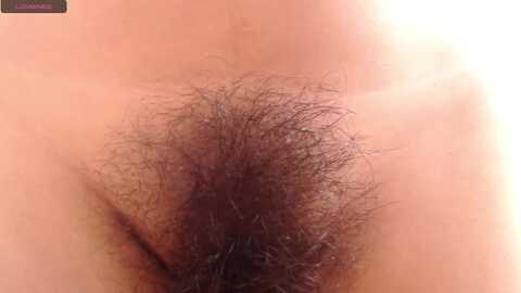 sweet_barbiie @ myfreecams on 20231022