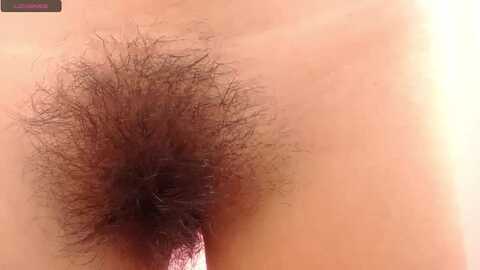 sweet_barbiie @ myfreecams on 20231022